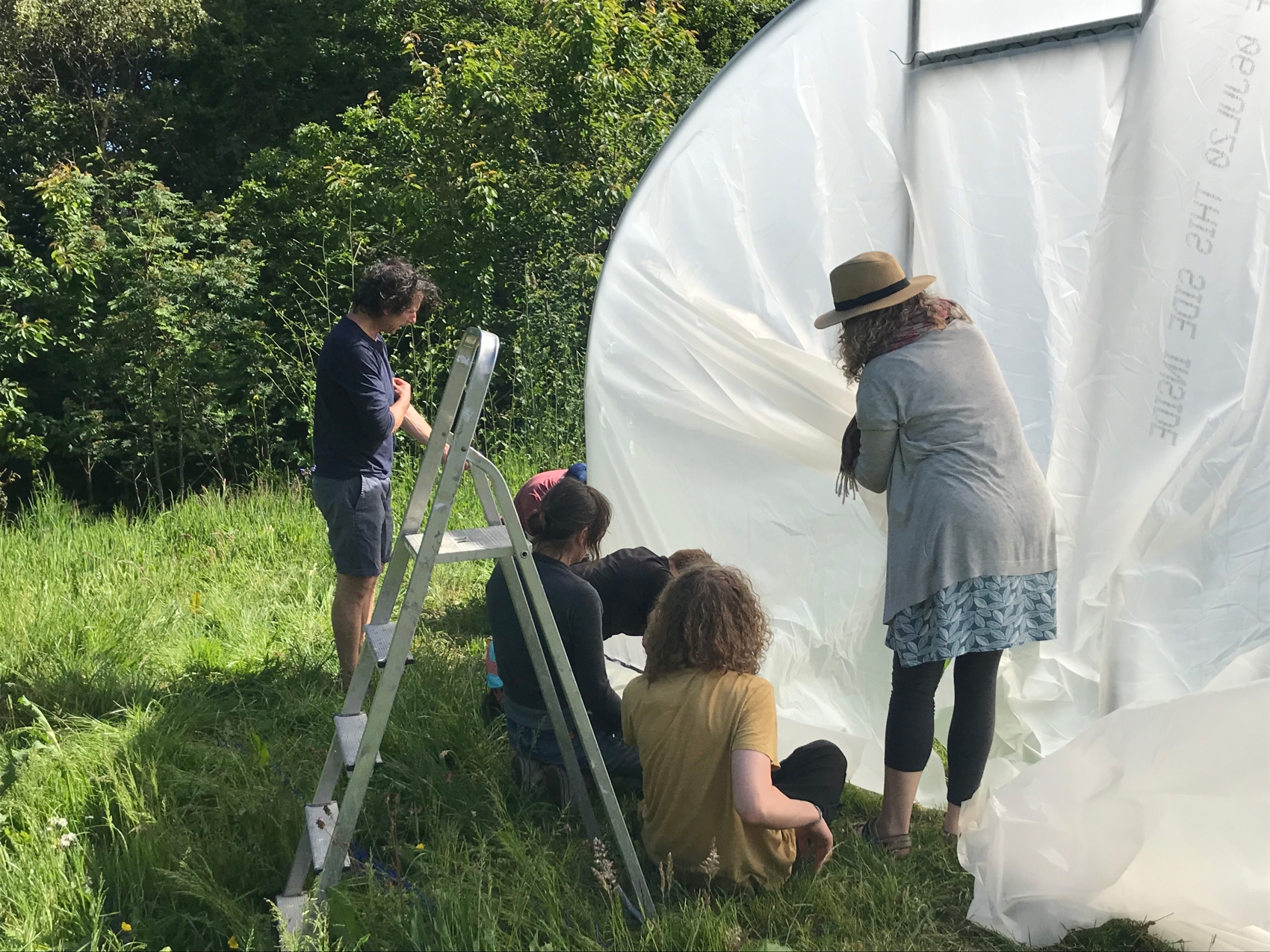 Mousehole Community Garden update