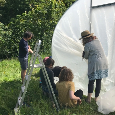 Mousehole Community Garden update